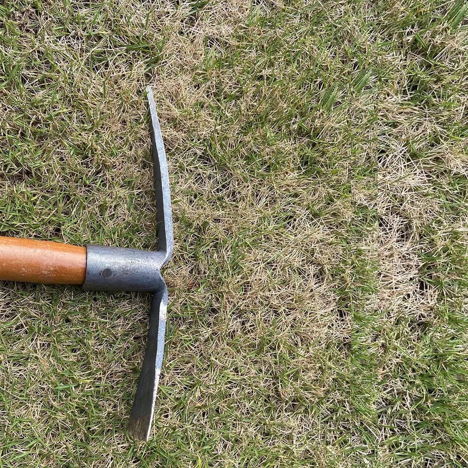 2PCS 19.6 Inches Garden Pick, 2 Prong Hand Hoe Tool Set Garden Tool with Wood…