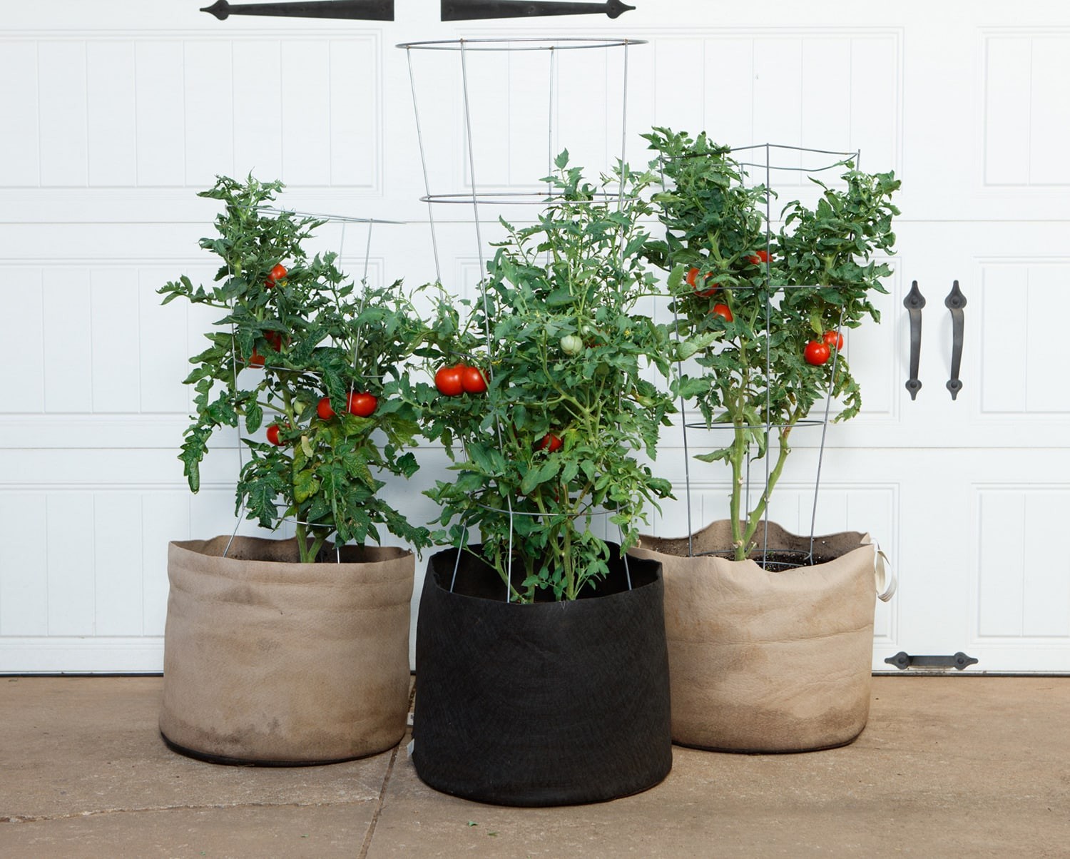 Smart Pot Fabric Planters – Breathable Heavy Duty Grow Bags for Vegetables,