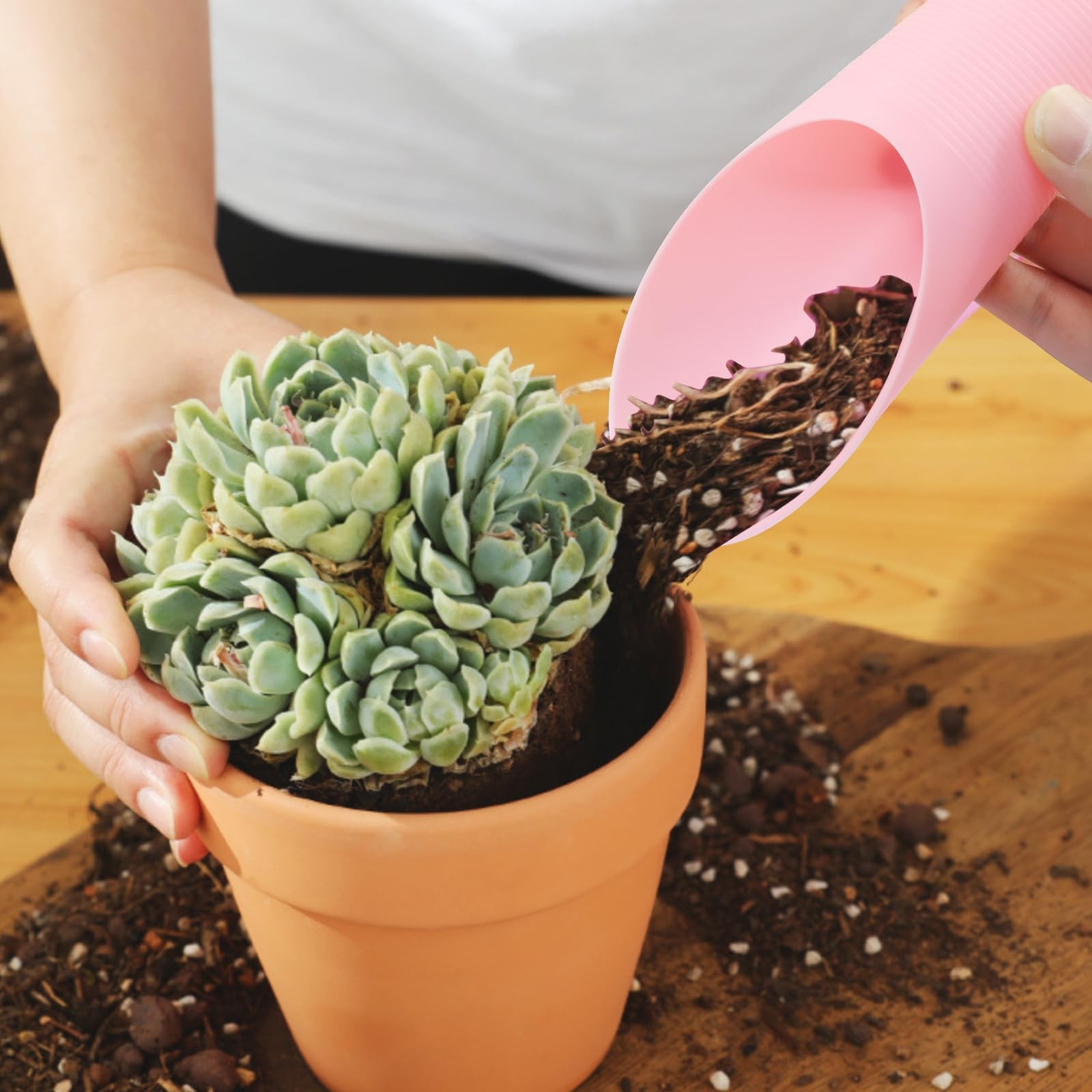 6 PCS Bonsai Soil Scoops Plastic Garden Shovels Colorful Mini Potting Tools