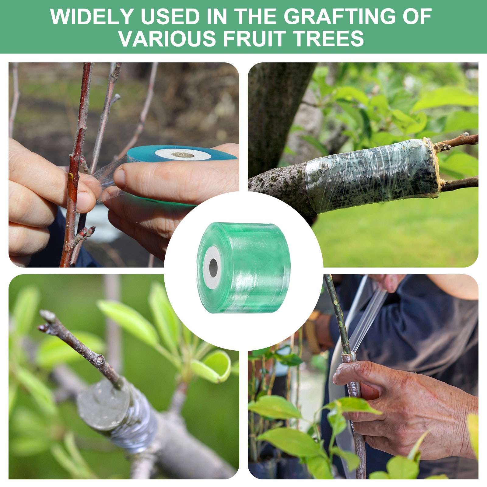 1-Pack Grafting Tape, 131yards x 1.6″( L x W) Tree Grafting Tape Per Pack