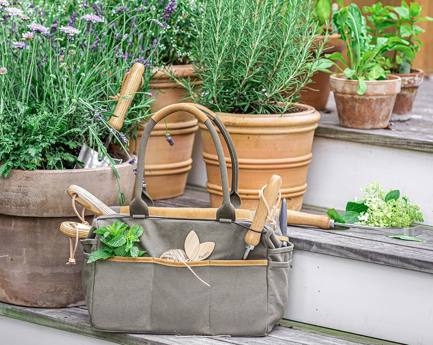 6 Piece Stainless Steel Heavy Duty Garden Tools Set, with Ash Wood Handle and No