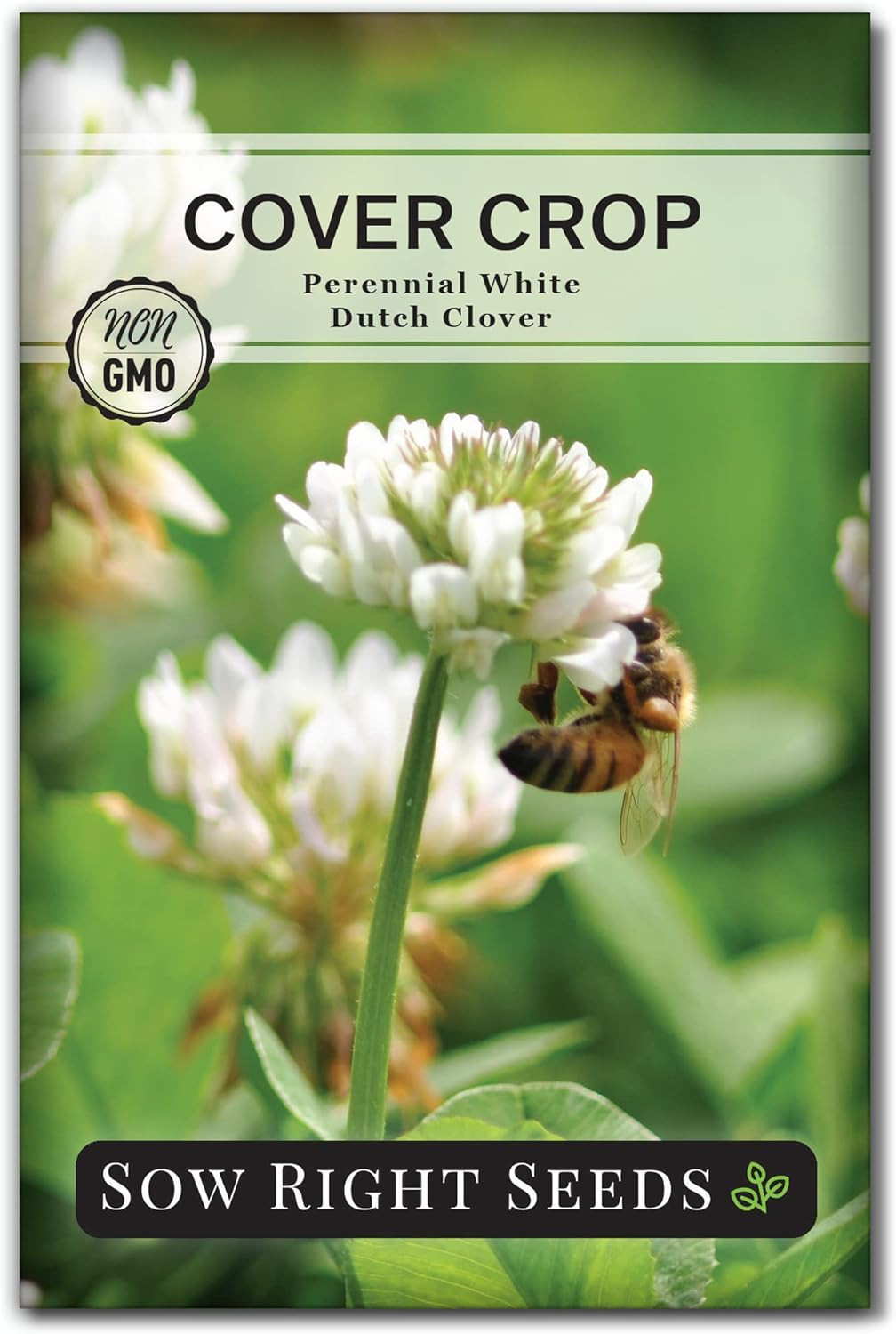 – White Dutch Clover Seed for Planting – Cover Crops to Plant in Your Home Garde