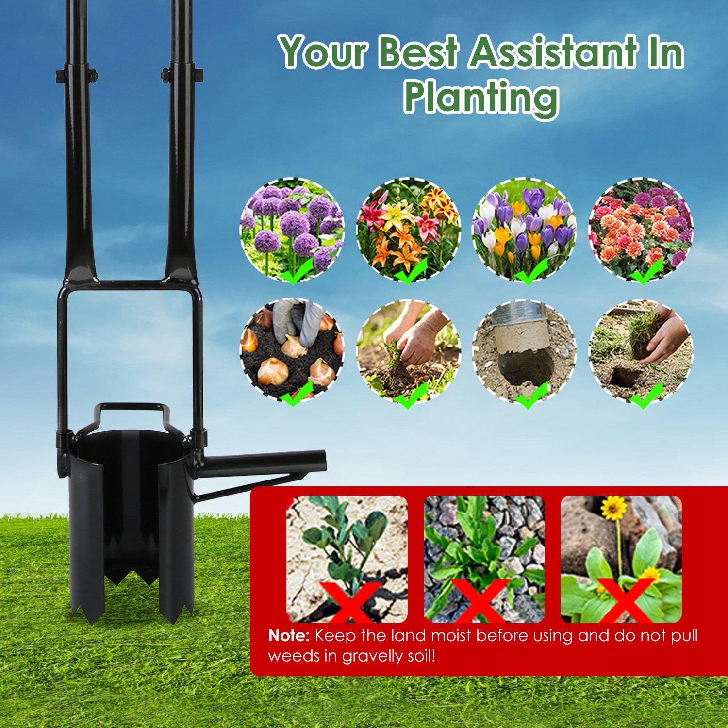 5 In 1 Gardening Bulb Transplanter Tool W/ Long Handle Gloves &Brush For Tulip