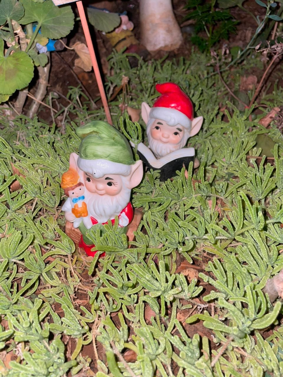 Cute Garden Gnome Statue Holding Binoculars Resin Outdoor Yard Decor Figurine