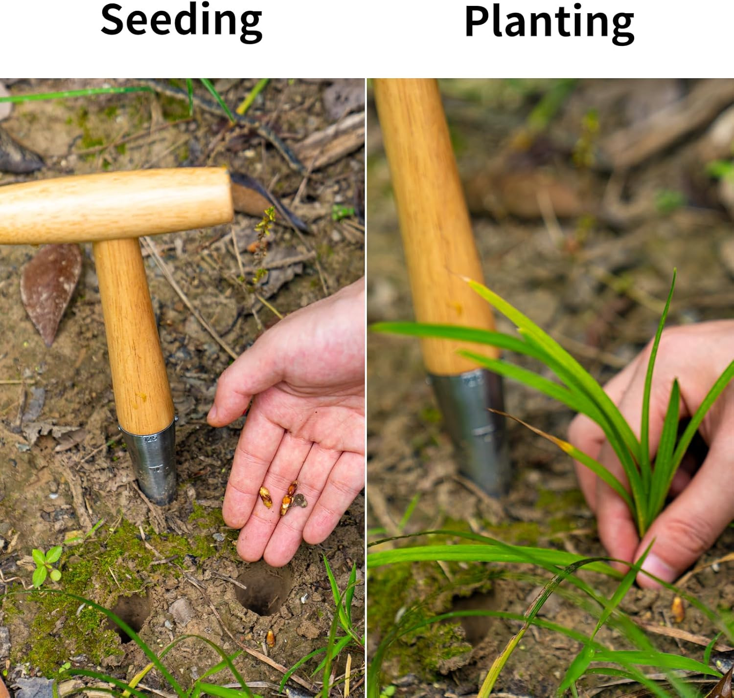 Plantador de manual de semillas de acero con mango de madera para trasplante