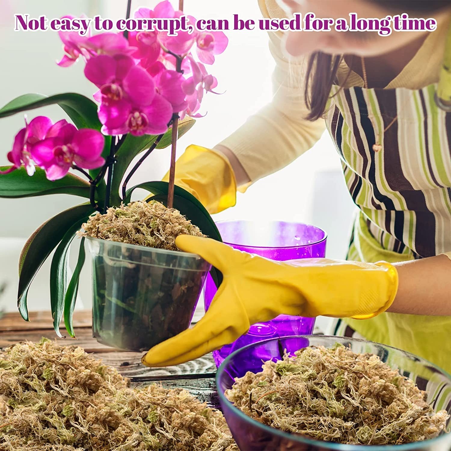 Legigo 3.5Oz Premium Sphagnum Moss Potting Mix- 4 Qt Natural Succulent