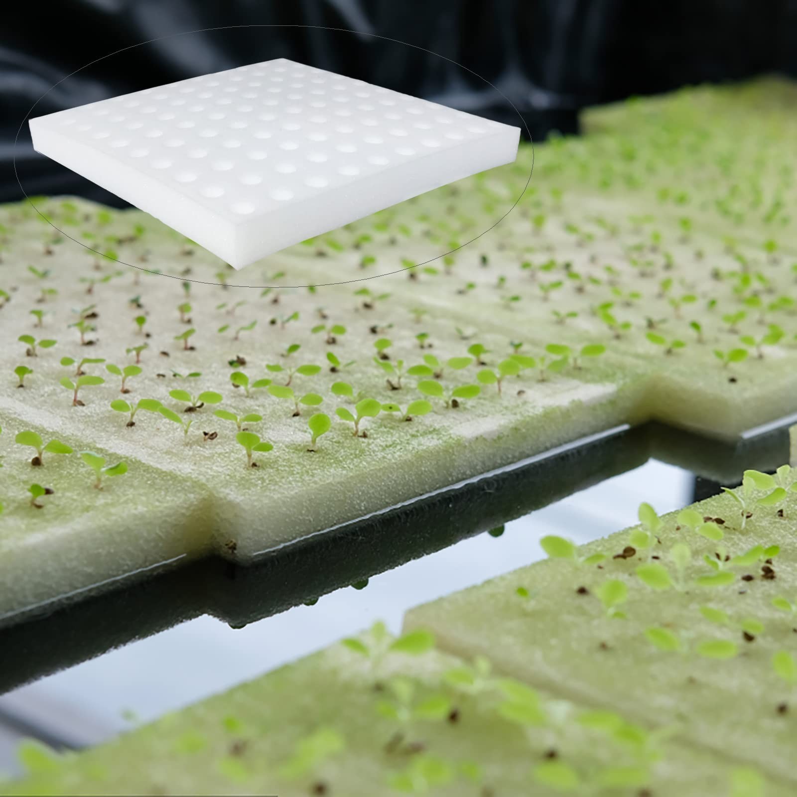 600 Pcs Hydroponic Sponges, Soil-Less Cultivation Planting Gardening Tool, Sq…