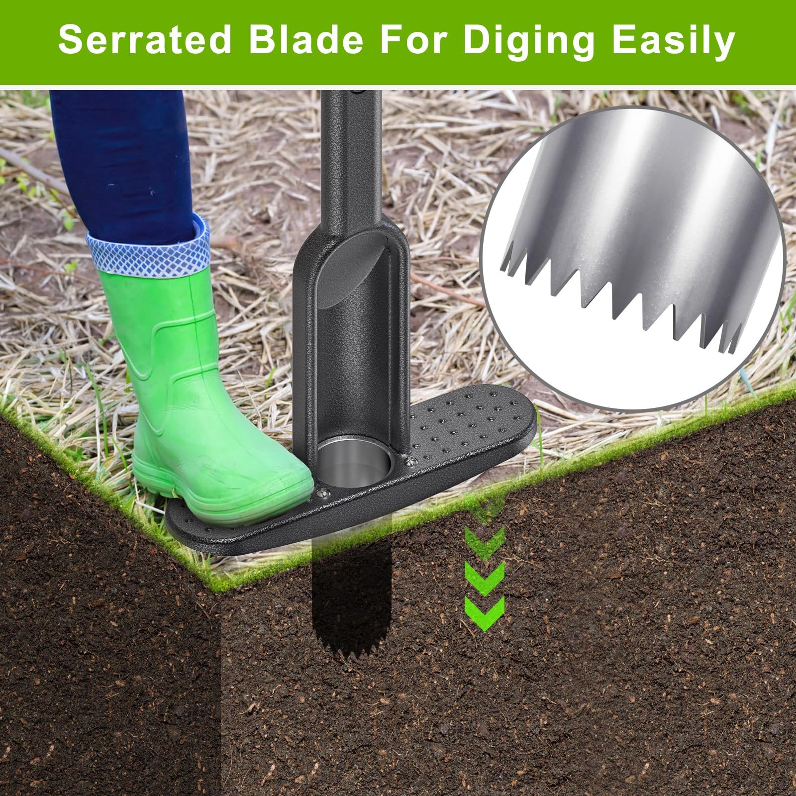 Bulb Planter Tool with Rubber Grip and Stainless Steel Serrations for Lawn