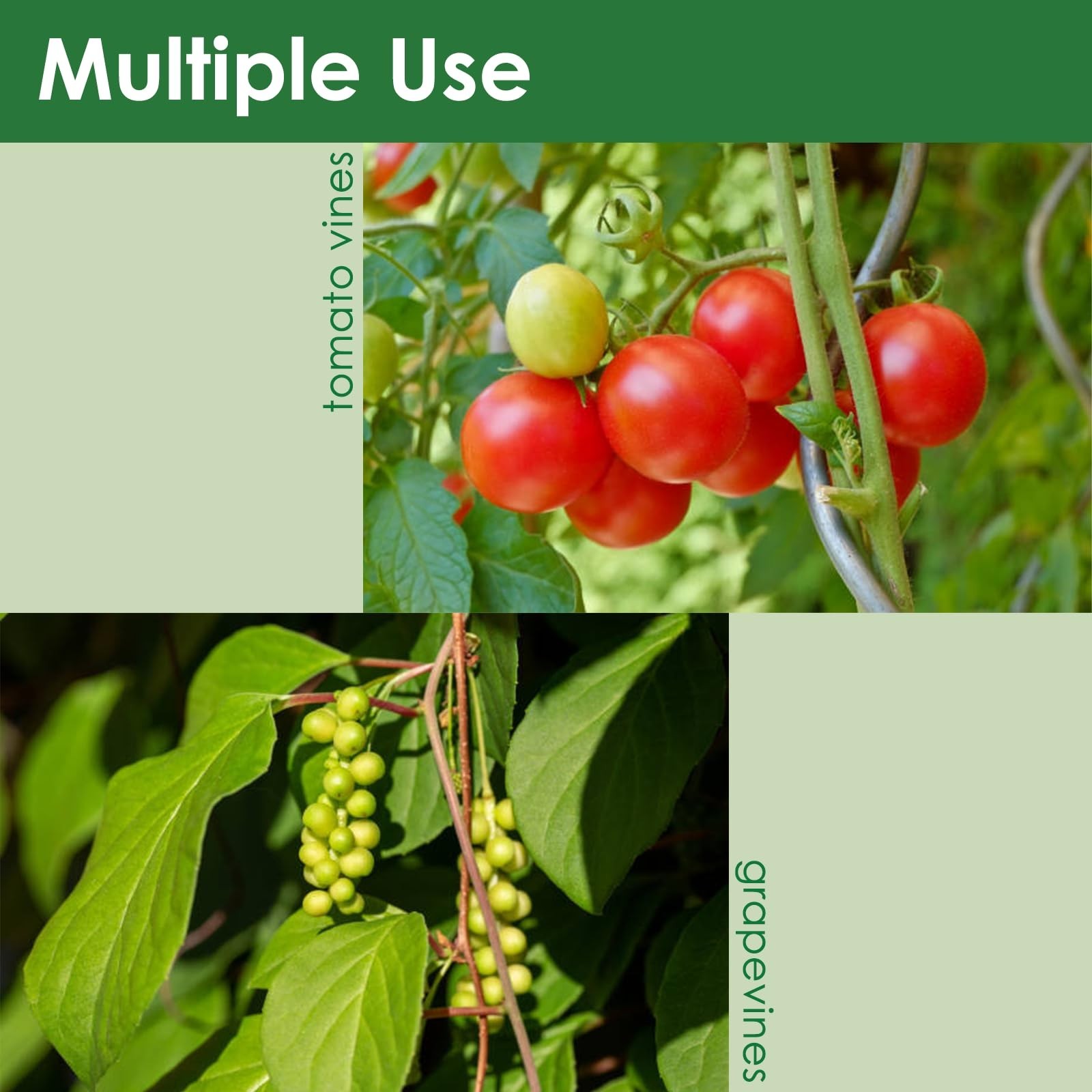 Soft Plant Tie Garden Plant Twist Tie TPR Plant Supply, for Supporting and Fi…
