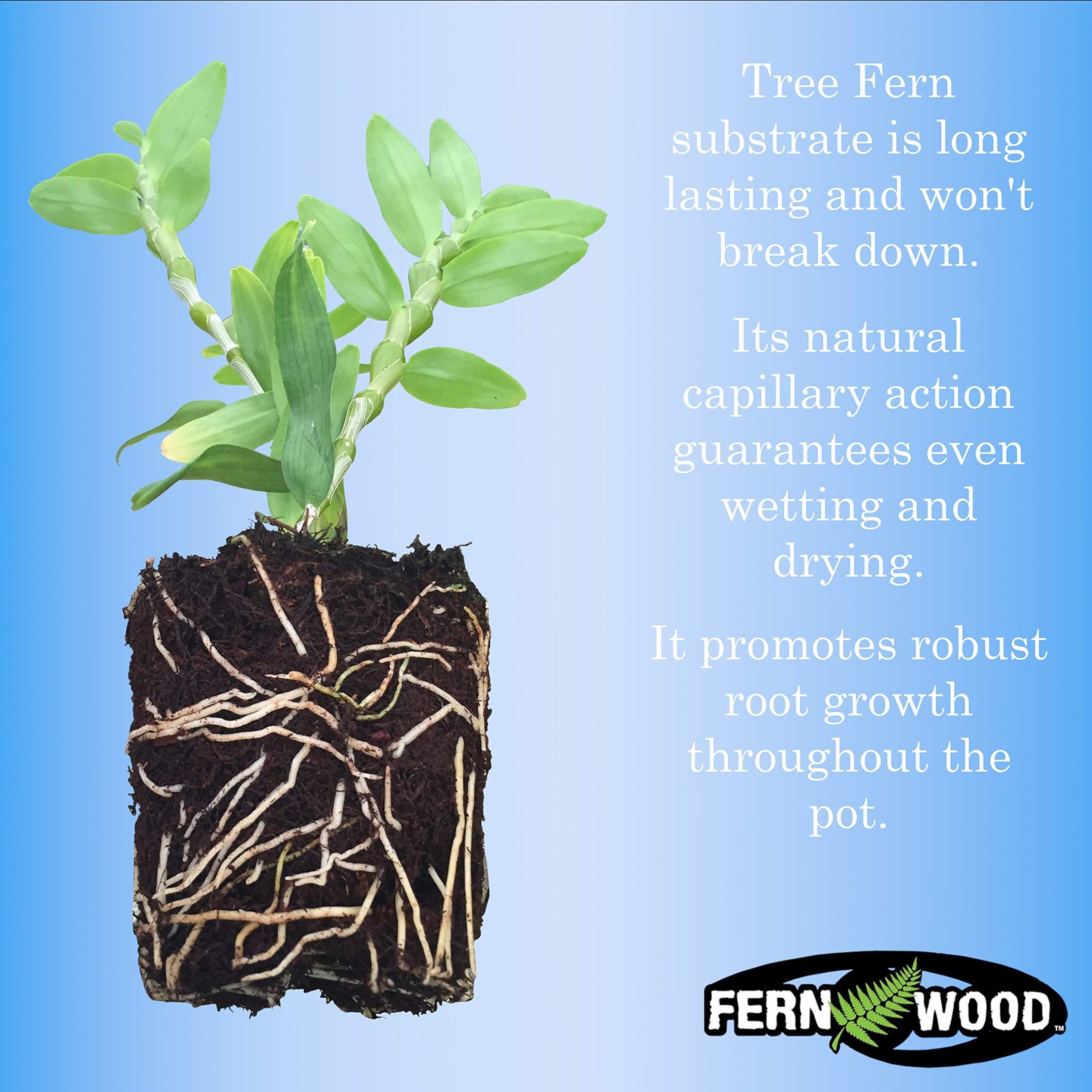 Fernwood Orchid Growing Medium And Reptile Substrate- Natural Organic Long For