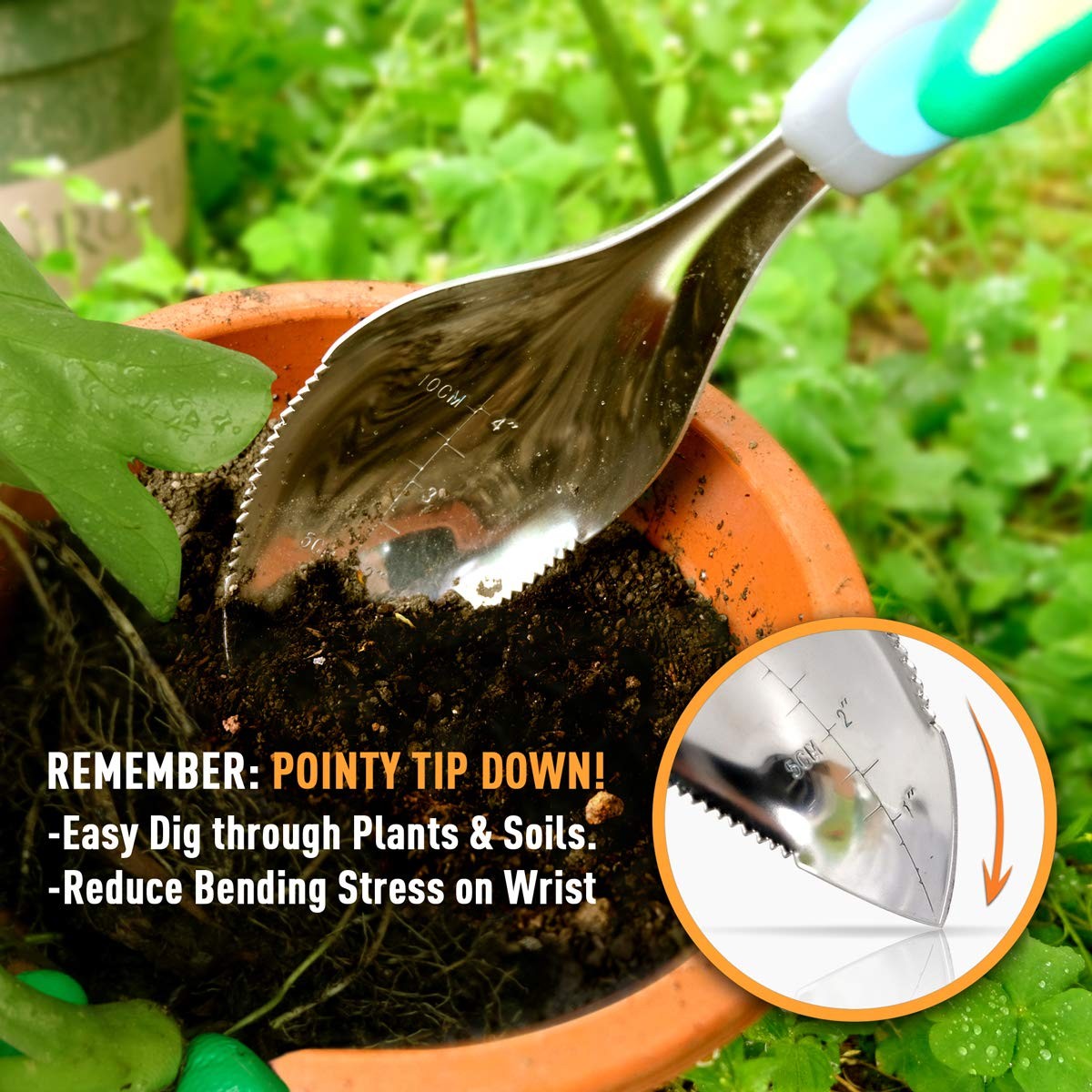 2 Pack Blue Stainless Steel Garden Trowel Hand Shovel Soil Scoop Tools