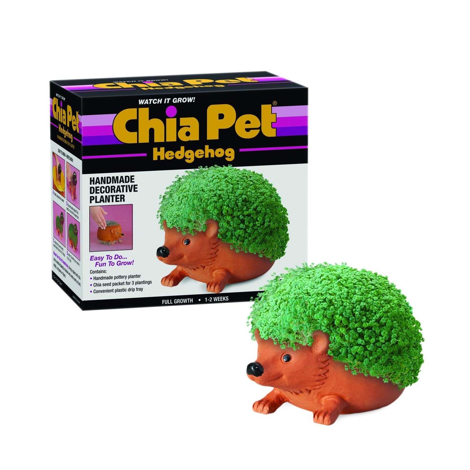 Chia Pet Hedgehog with Seed Pack, Decorative Pottery Planter, Easy to Do and …