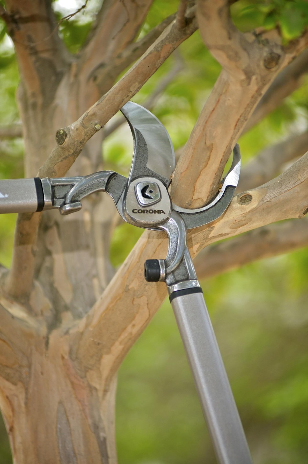Corona Tools | 32-inch Branch Cutter DualCUT Bypass Loppers | Tree Trimmer Cu…
