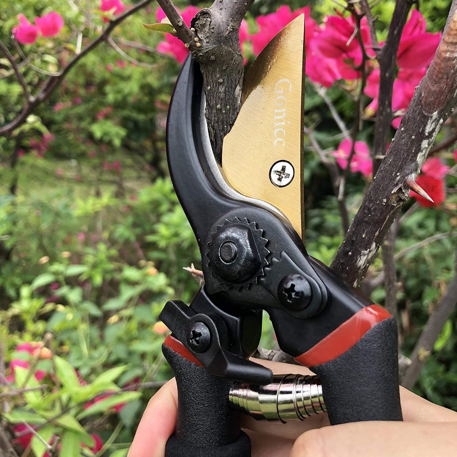 Professional Titanium Bypass Pruners, 8′ Garden Clippers for Precision Cutting