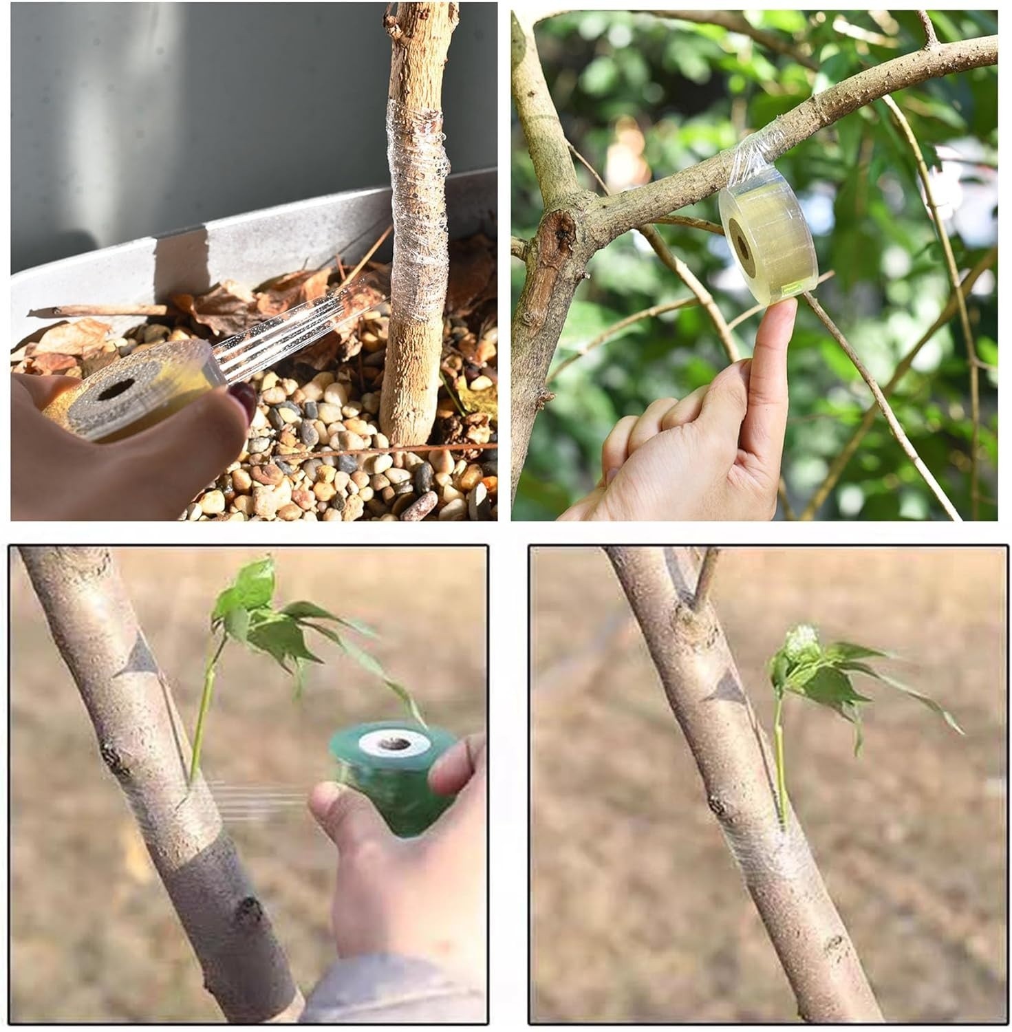 1.2 inch Grafting Tape For Floral Fruit Trees Stretchable Garden Grafting Tape