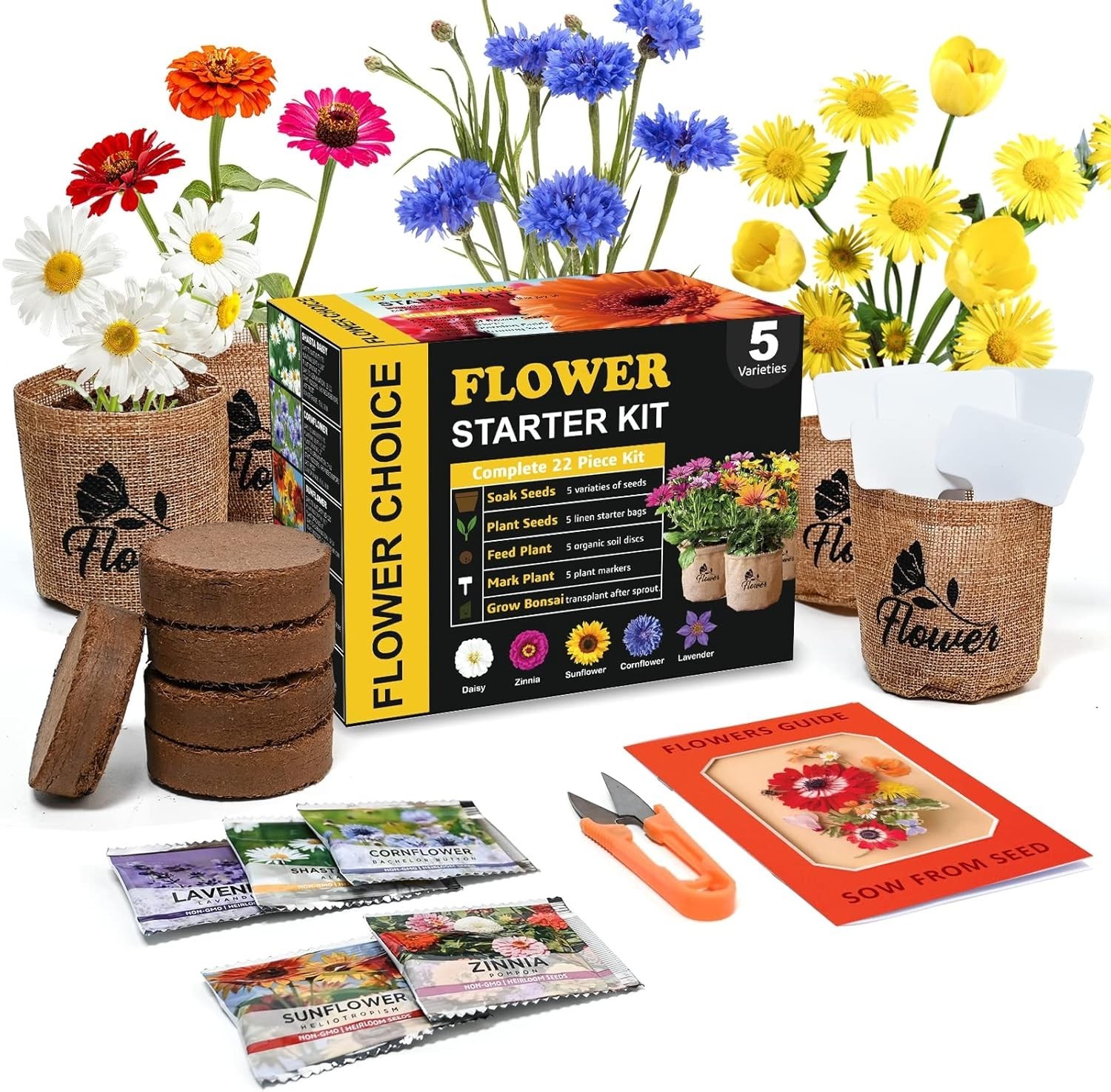 Indoor Daisy Garden Starter Kit for Home Gardening with Tools and Seeds
