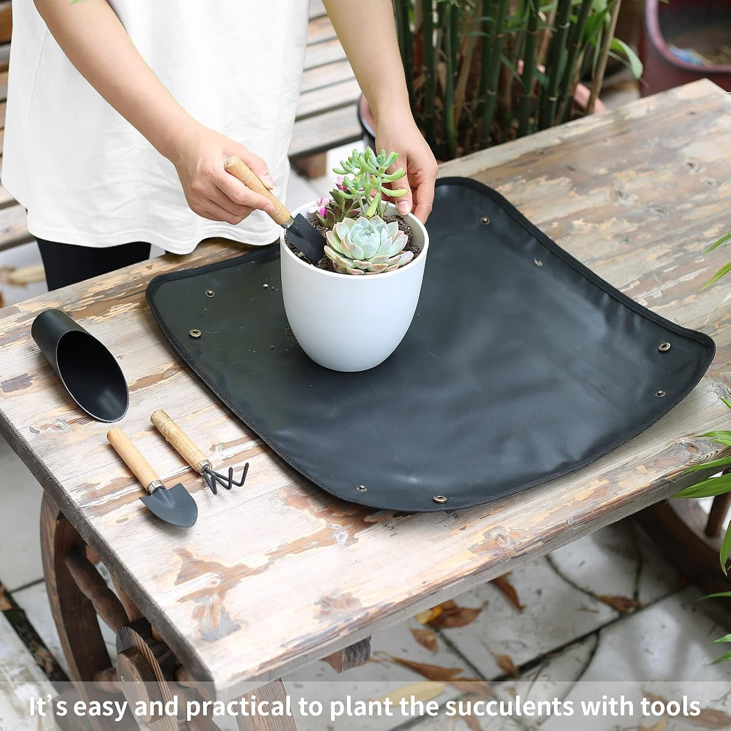 High-Quality Succulent Gardening Hand Tools Kit – Perfect Gift for Green Thumbs