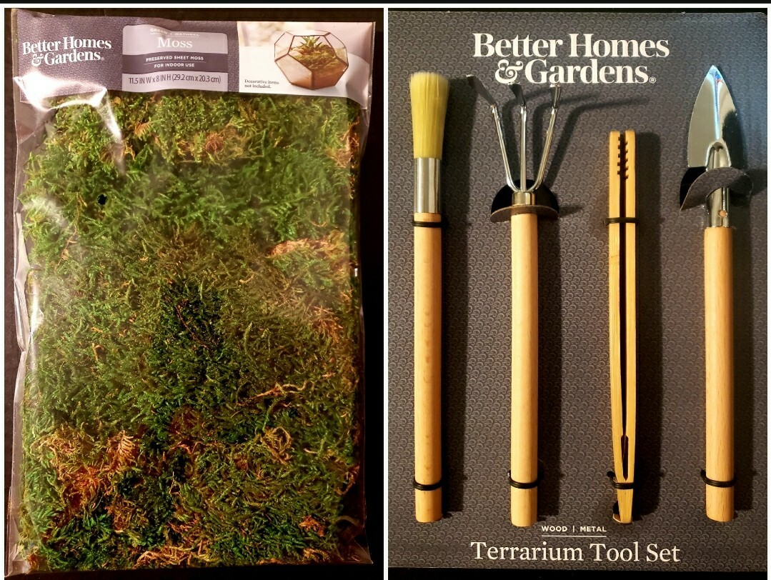 Better Homes & Gardens Terrarium Tool Set Wood with Terrarium Sheet Moss, 2 oz.