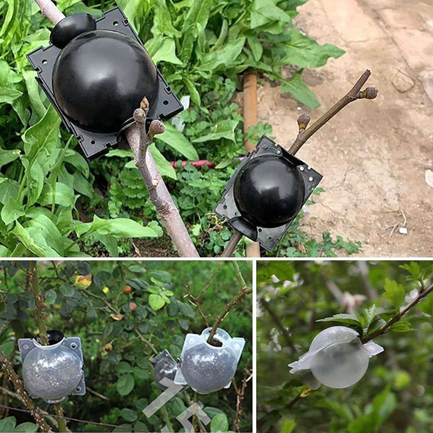 10Pcs Plants Rooting Propagation Graft Ball Reusable Tree Root Growing Box