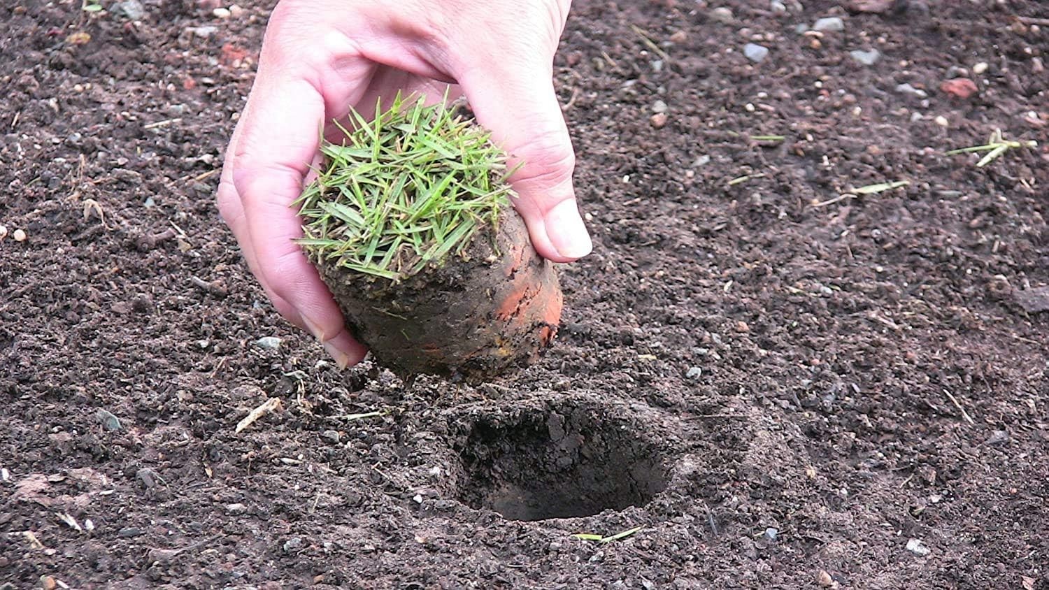 Proplugger 5-in-1 Lawn & Garden Tool – Ultimate Bulb Planter and Weeder