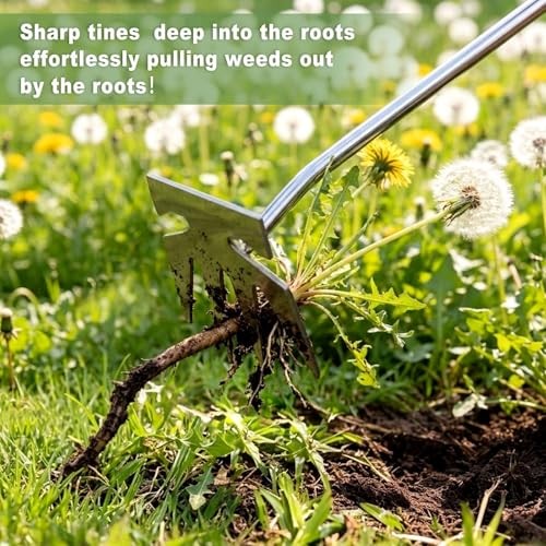Weed Puller Tool Stainless Steel Garden Hand Weeder Ergonomic Wood Handle 13.1in