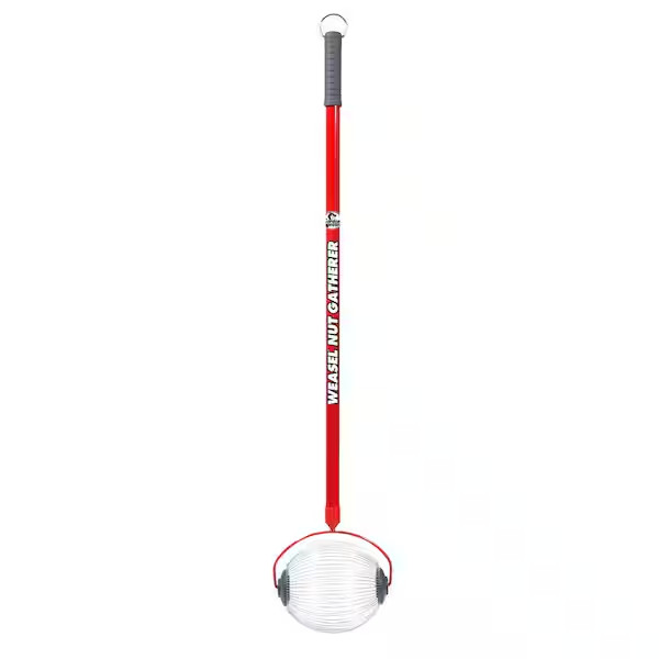 48 In. Weasel Medium Nut Gatherer with Smooth Rolling Cage