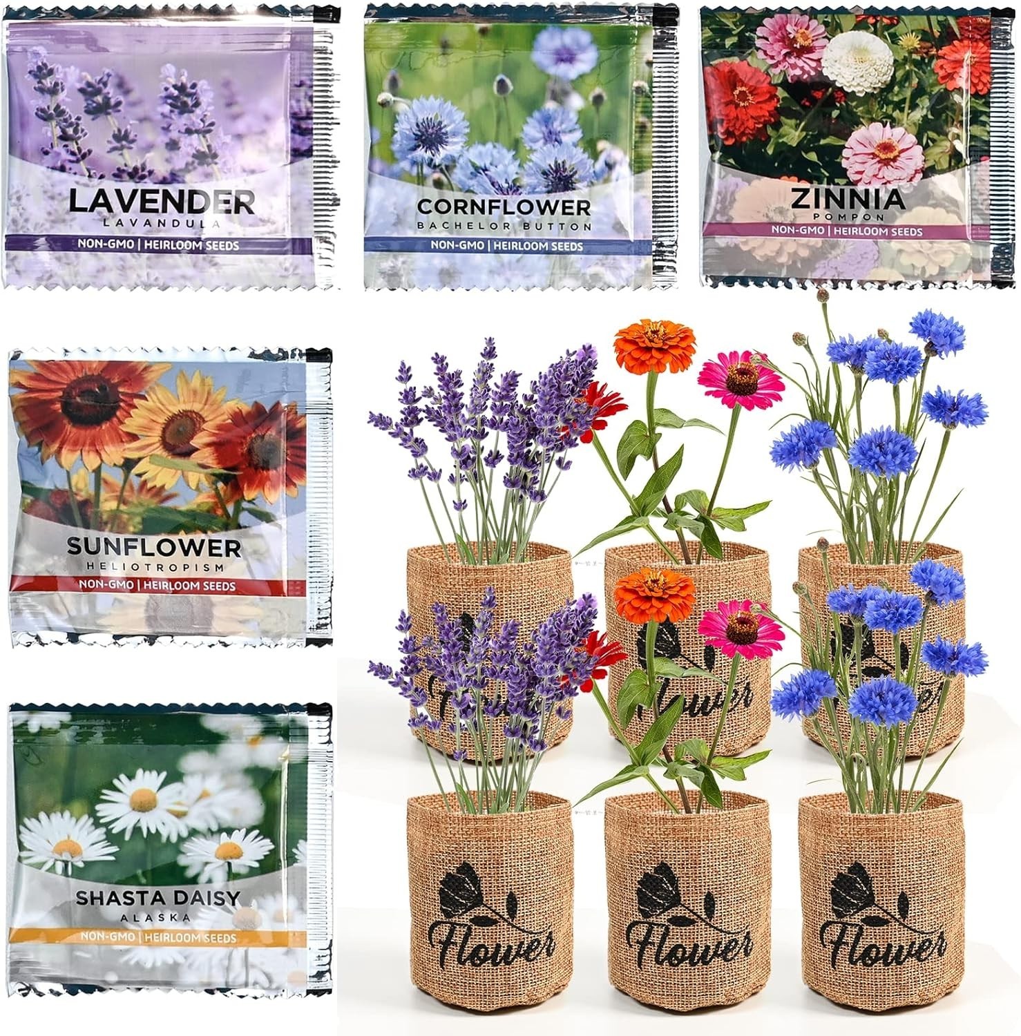 Indoor Daisy Garden Starter Kit for Home Gardening with Tools and Seeds