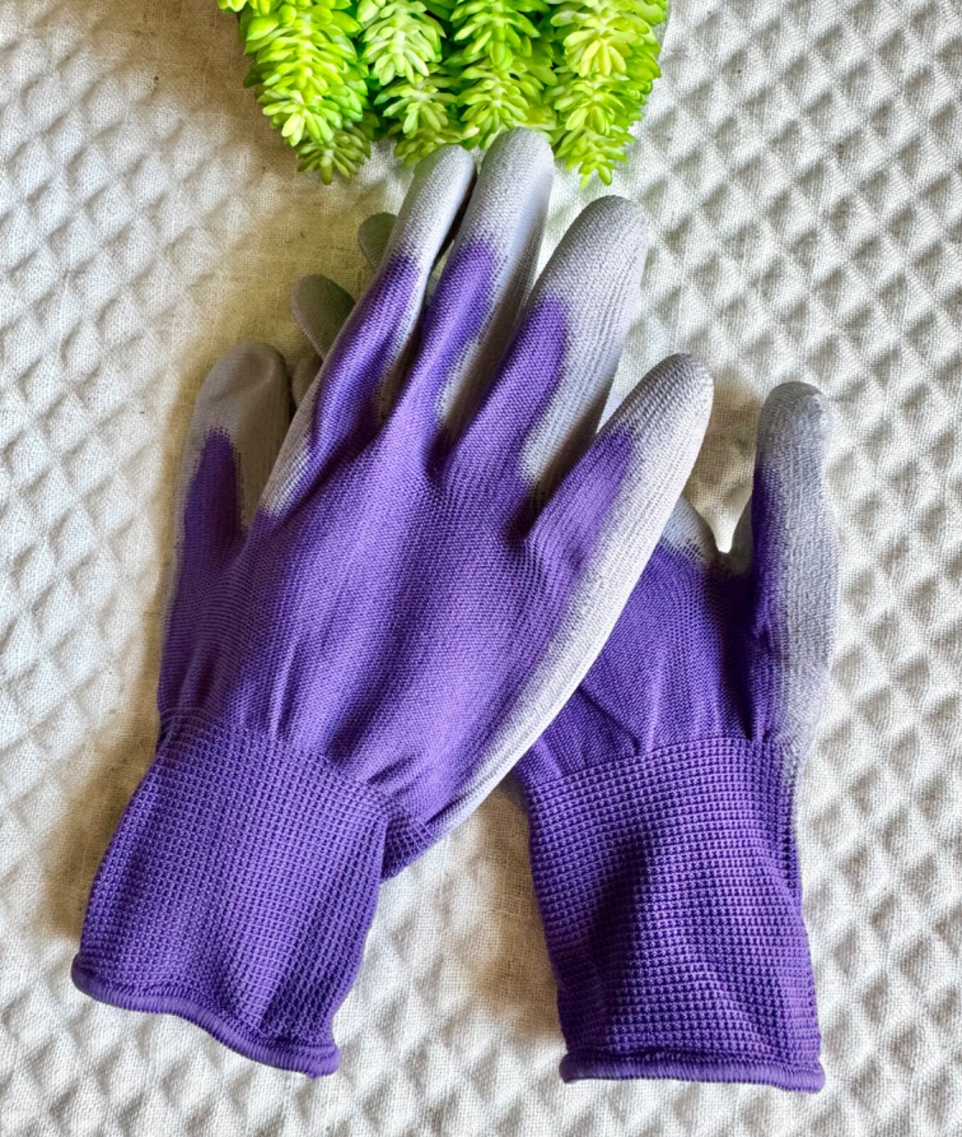 New Summer Gardening Gift Set w/ Metal Hand Rake, Seed Envelopes, Purple Gloves
