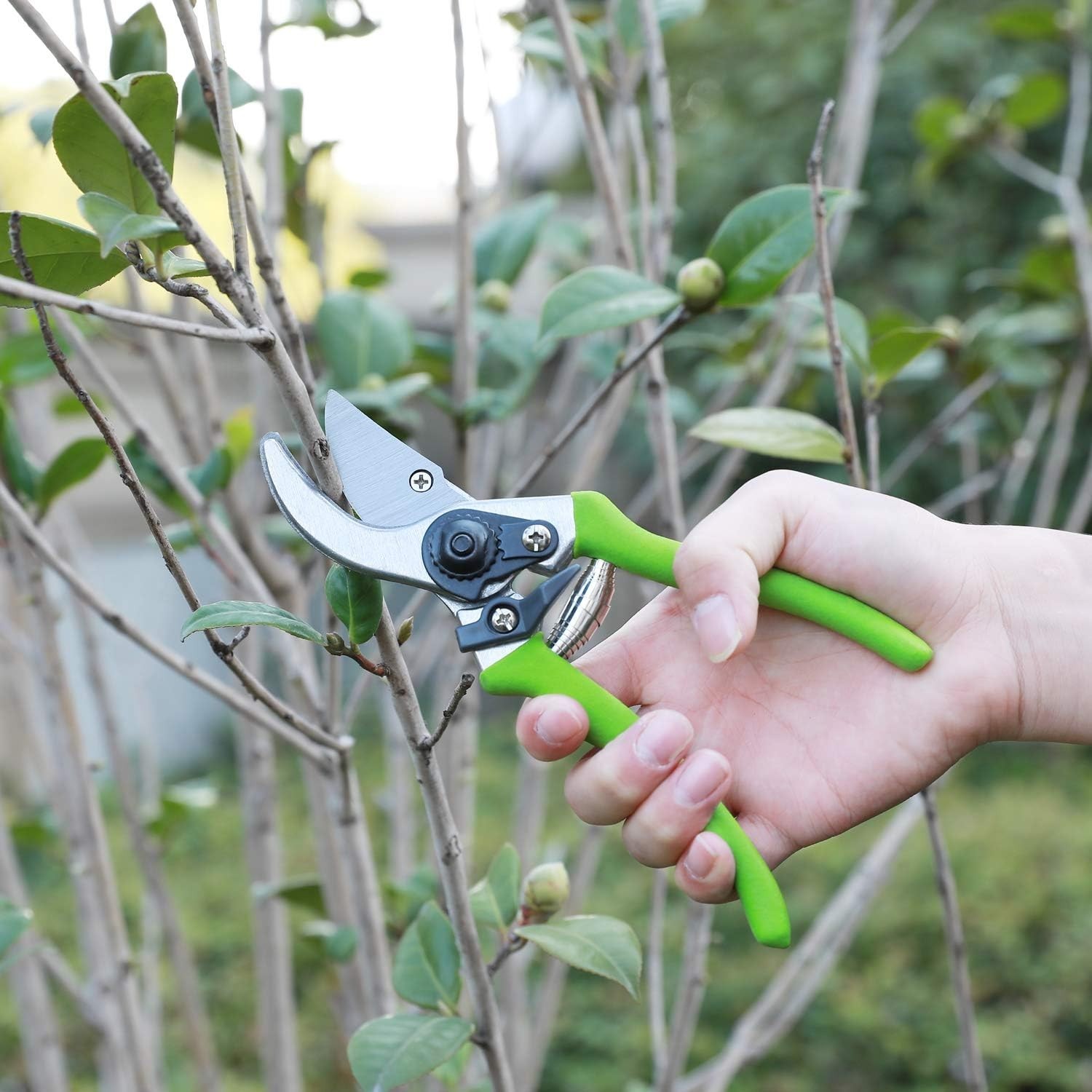 Garden Pruning Set: 2-Piece Heat-Treated Steel Tools for Effortless Cutting