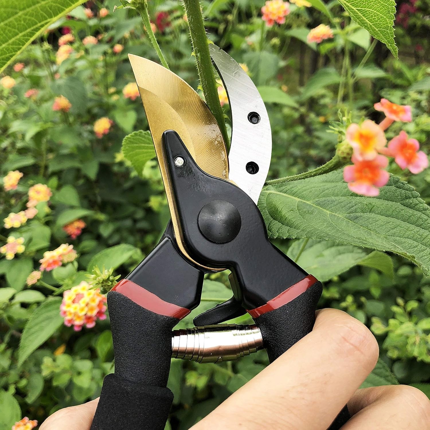 Professional Titanium Bypass Pruners, 8′ Garden Clippers for Precision Cutting