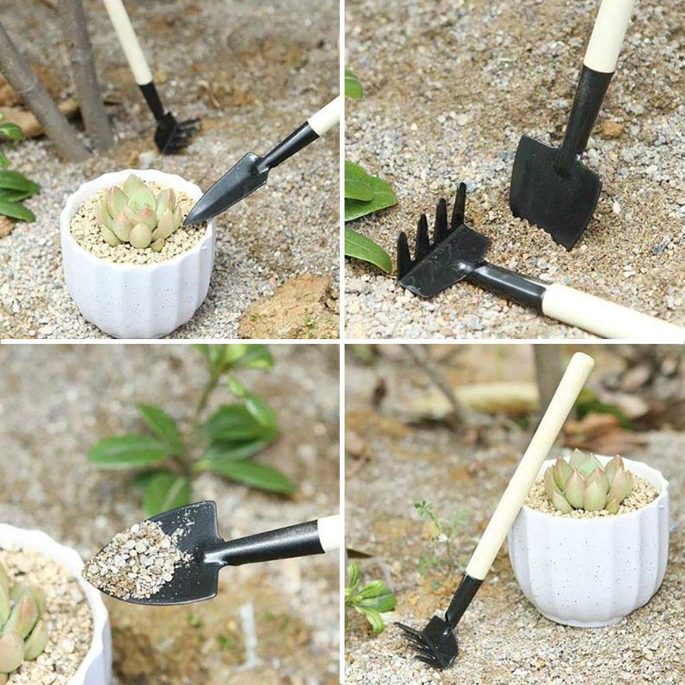 15~Piece Succulent Plant Tool Set for Mini Gardening and Plant Care