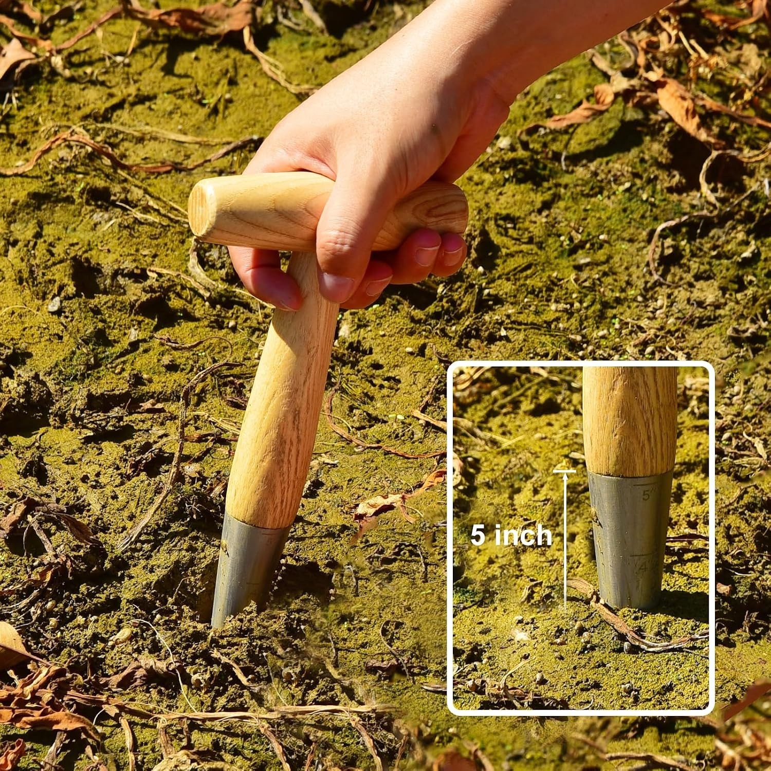 Lightweight Stainless Steel Seed Dibber for Effortless Planting in Garden