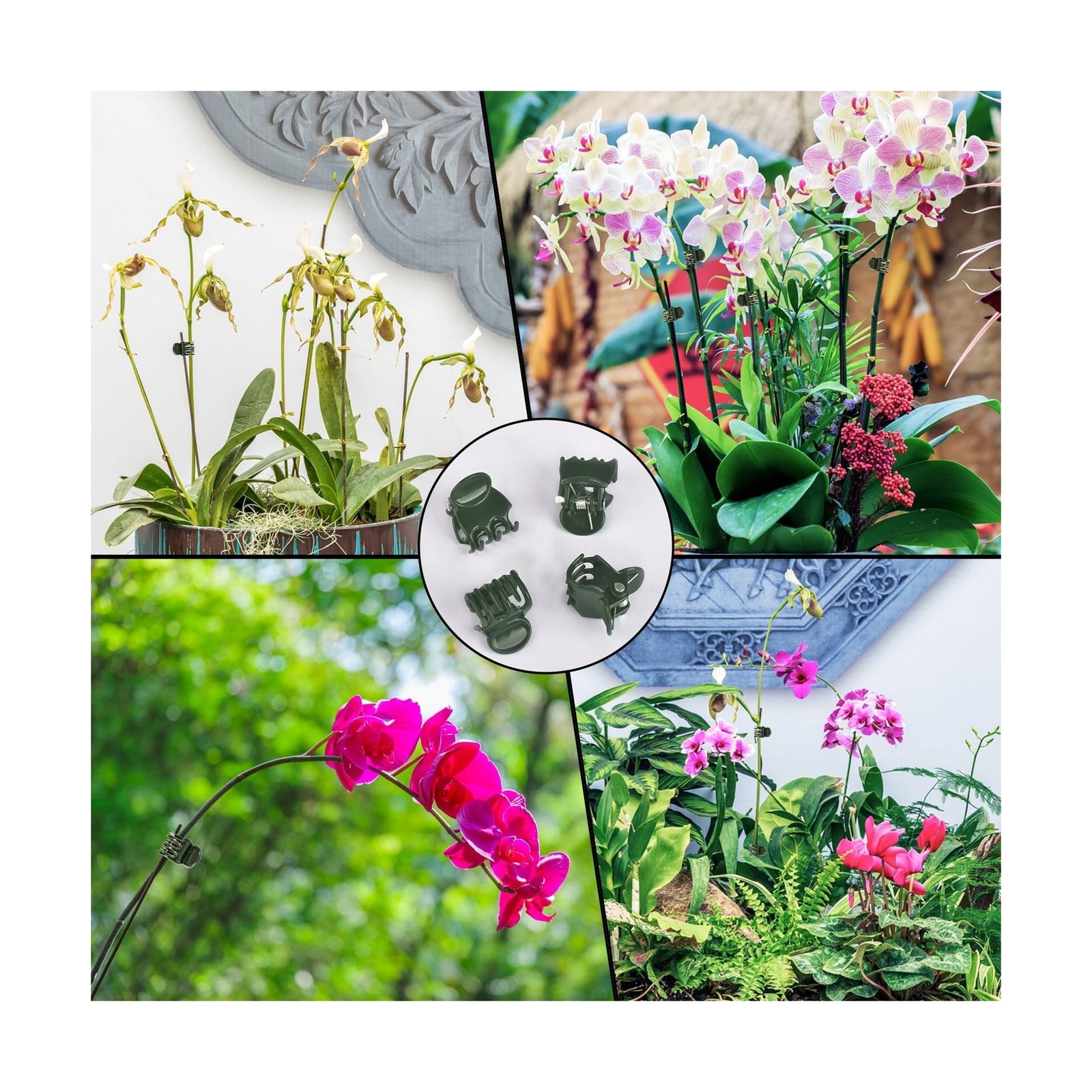 AccEncyc 100 Pcs Plant Clips Orchid Clips Plants Orchid Support Clips Flower …