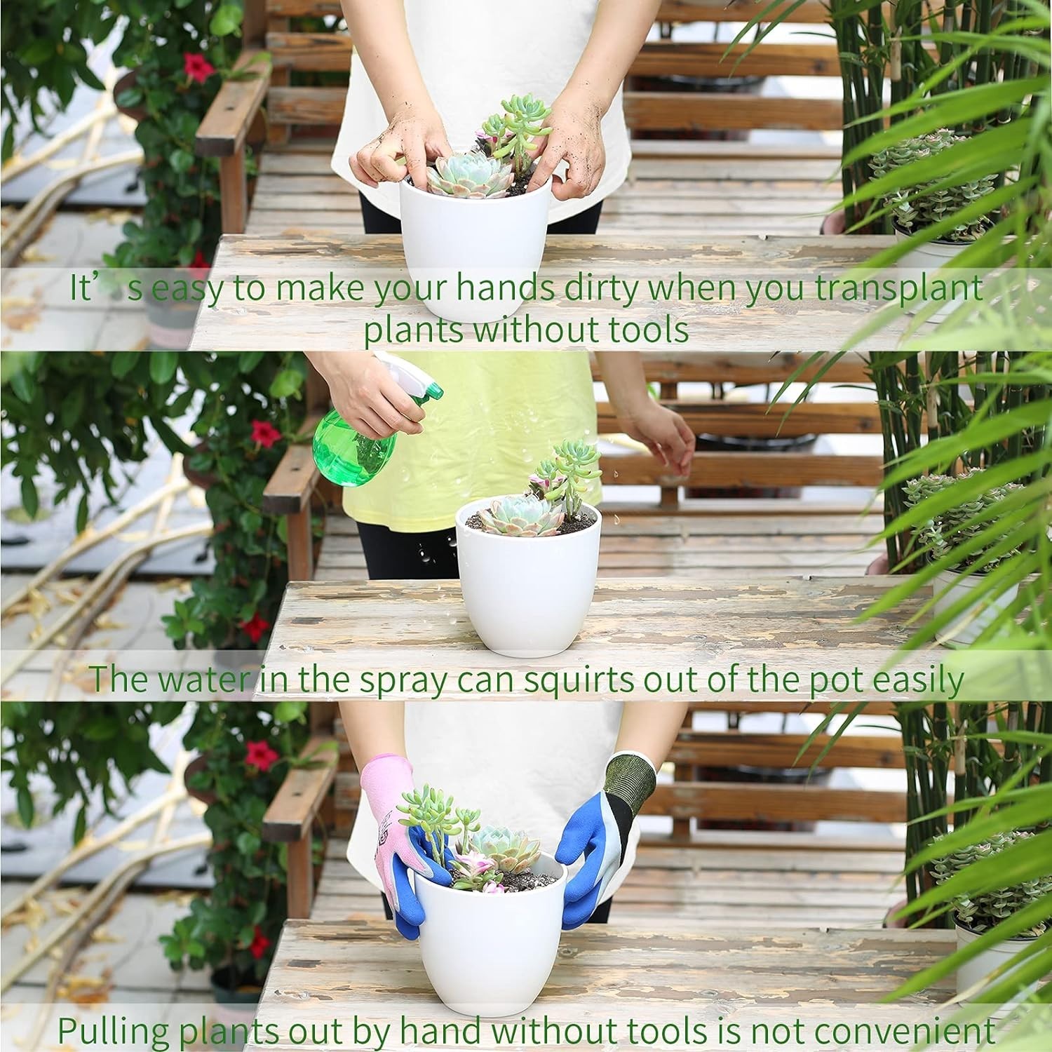 11Pcs Succulent Tools,Mini Garden Tools,Succulent Watering Tool as Plant Acce…
