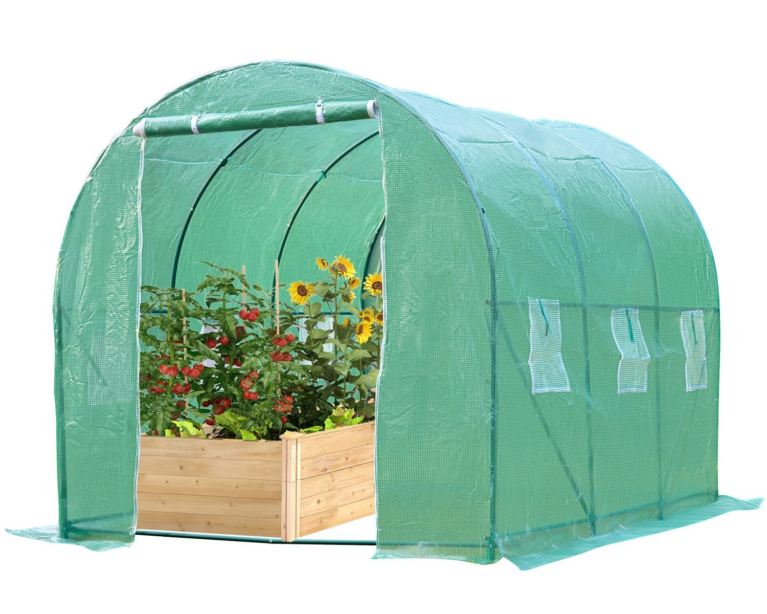 Fdw Greenhouse 10Xw7Xh7 Walk-In Greenhouses For Outdoors Mini Greenhouse