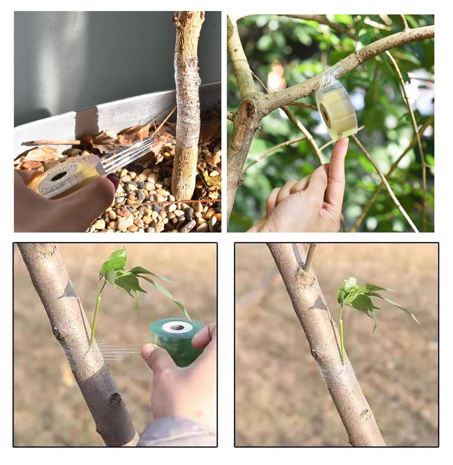 1.2inch Grafting Tape for Floral Fruit Trees Stretchable Garden Grafting Tape…