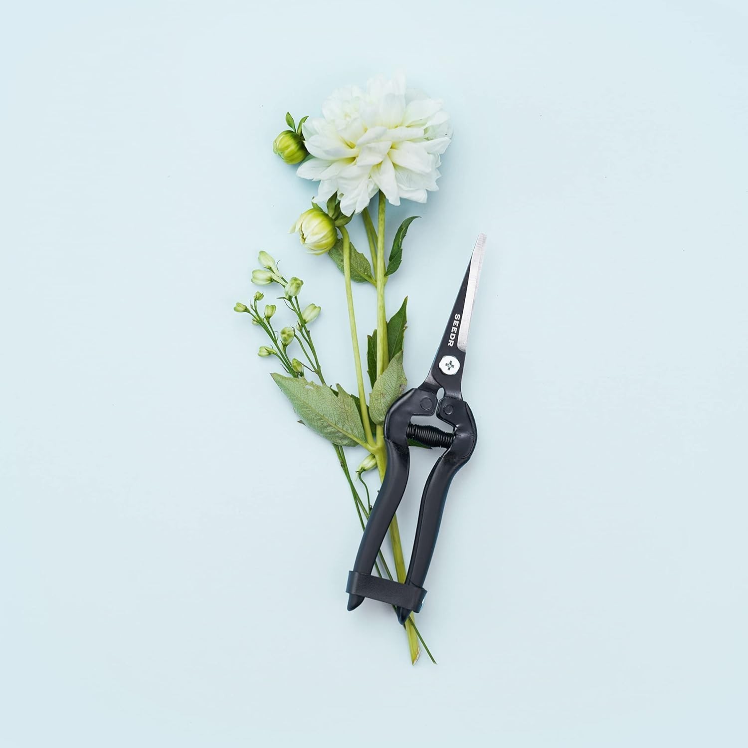 Indoor Plants Tool Set, Stainless Steel Starter Kit – Garden Shears, Garden G…