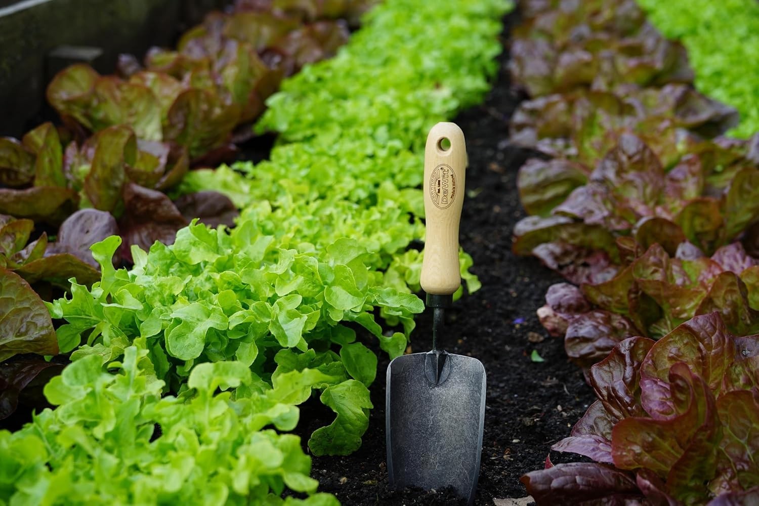 Tierra Garden Short Handle Trowel – Sturdy Construction