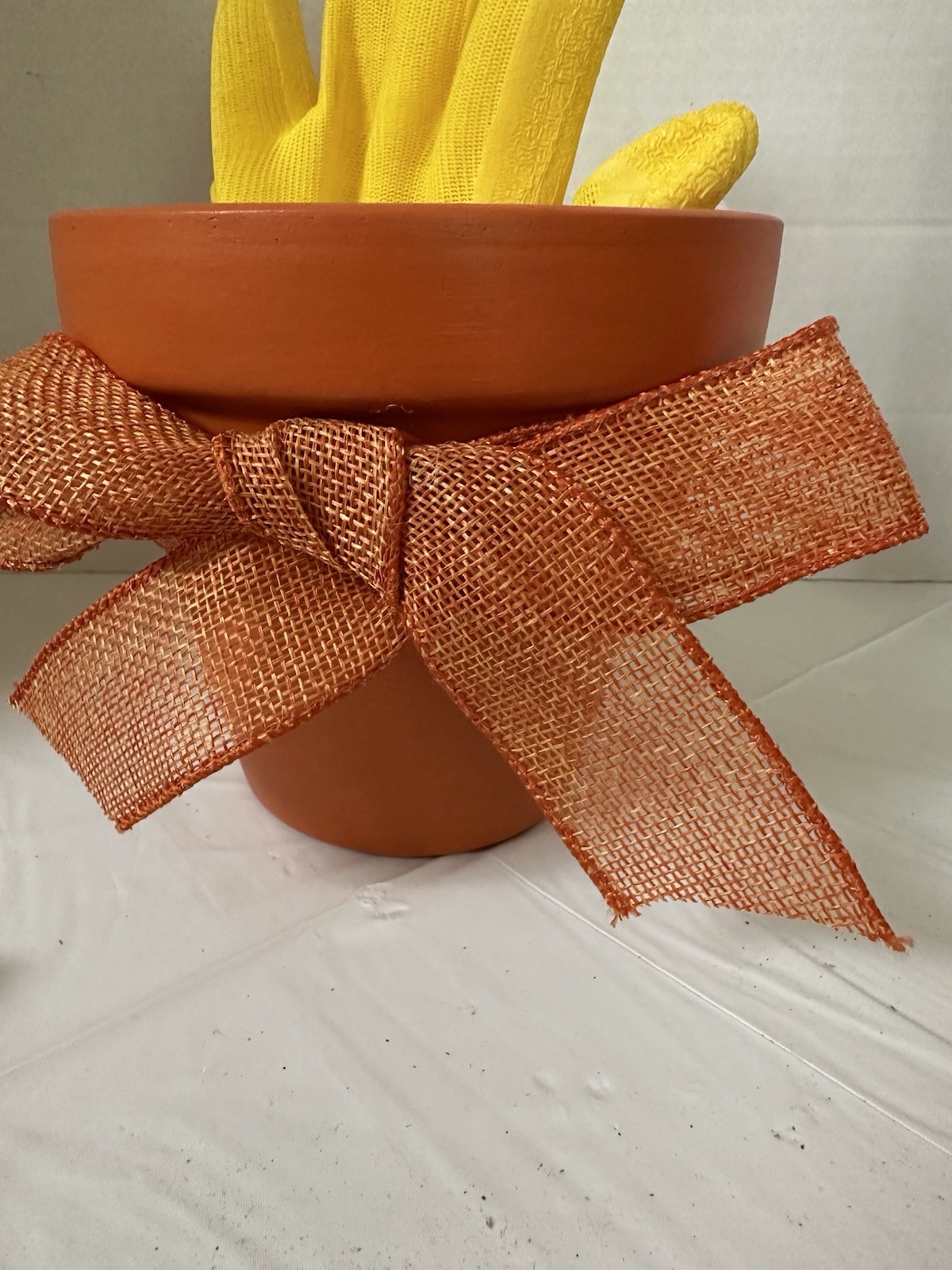 Hand Painted Clay Pot With Floral Potting Tools, Clippers And Gloves Set