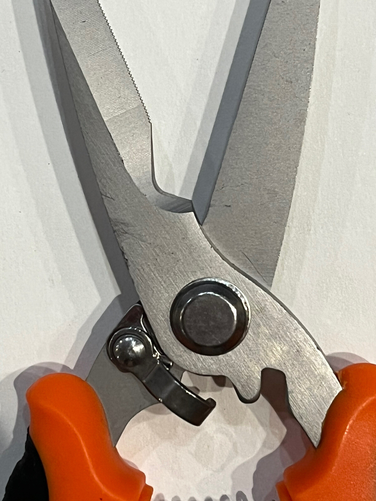 Garden Scissors Pruning Shears Hand Pruners Stainless Steel Blade Soft Grip