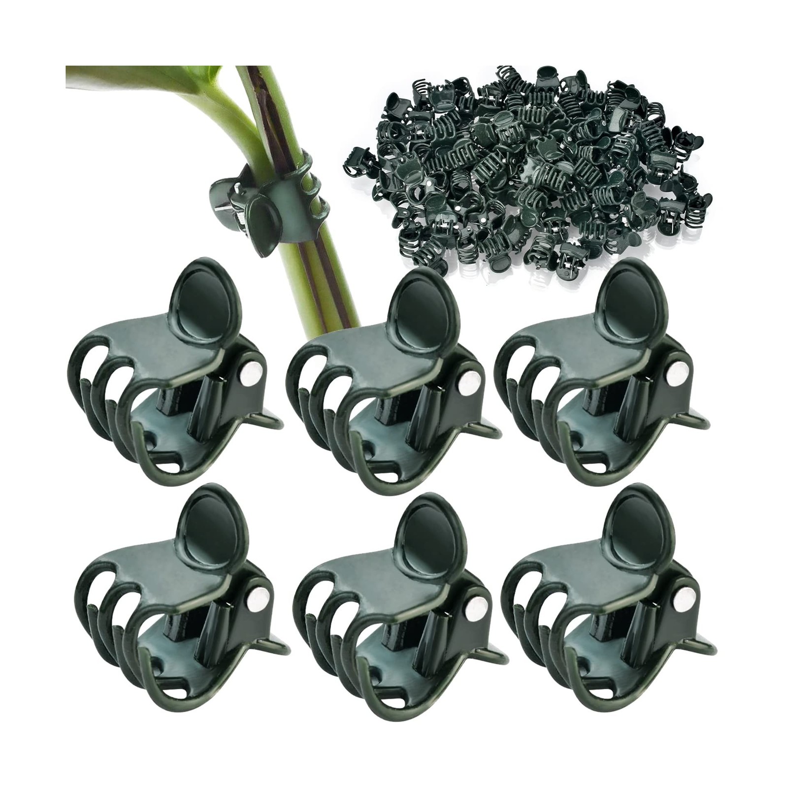 AccEncyc 100 Pcs Plant Clips Orchid Clips Plants Orchid Support Clips Flower …