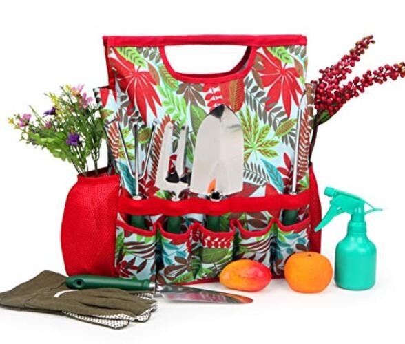 9-Piece Garden Tools Set with Gloves and Colorful Tote – Gardening Hand Tools