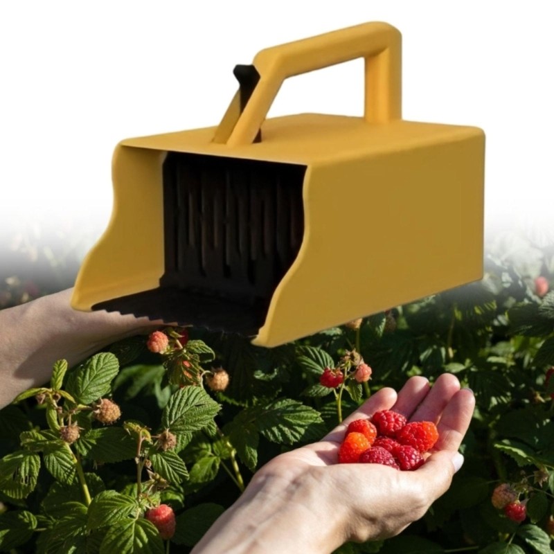Fruit Harvest Tool with Comb Teeth and Collection Bin for Raspberries Garden Use