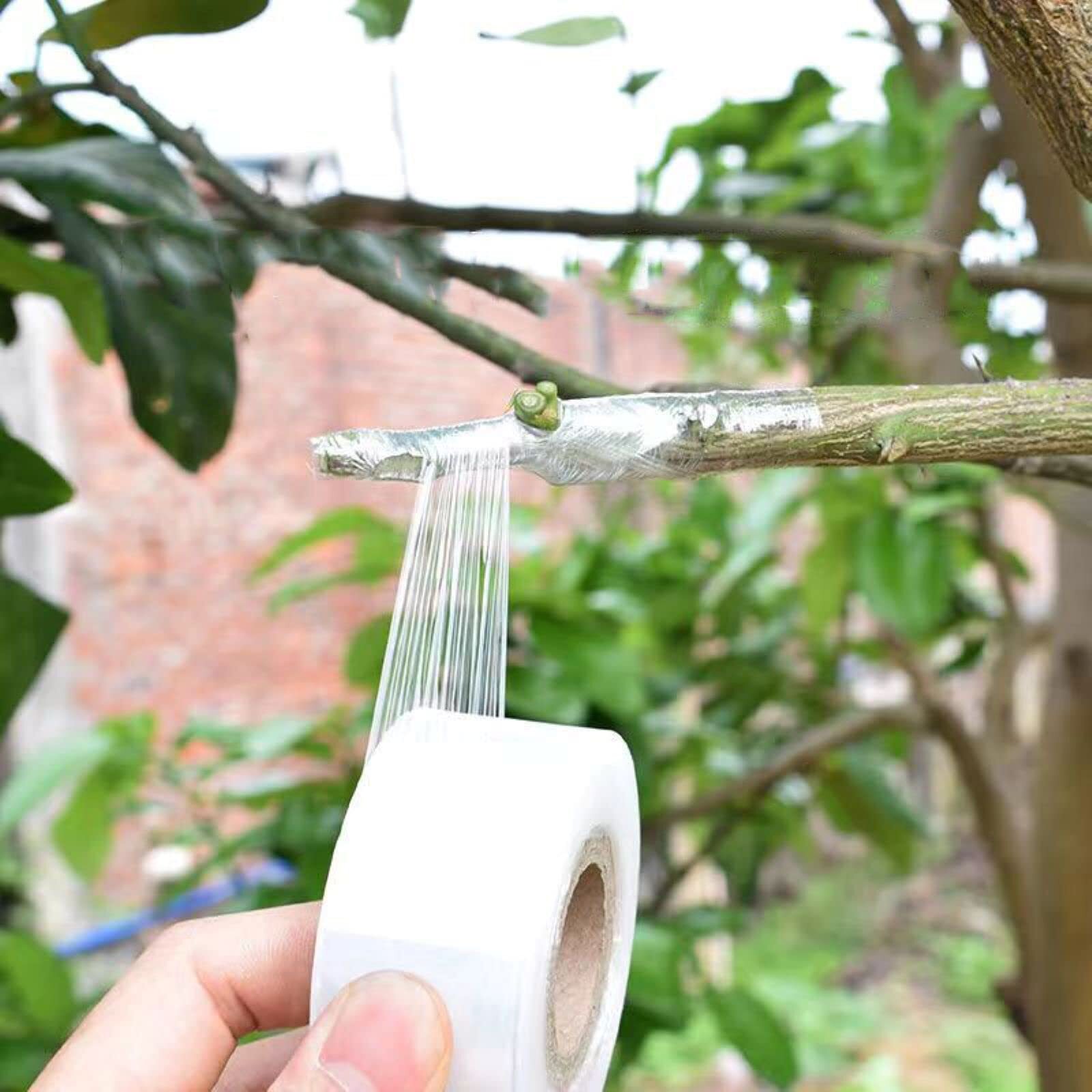 Grafting Tape Plant Repair Budding Tape Garden Nursery Moisture Barrier Stretcha