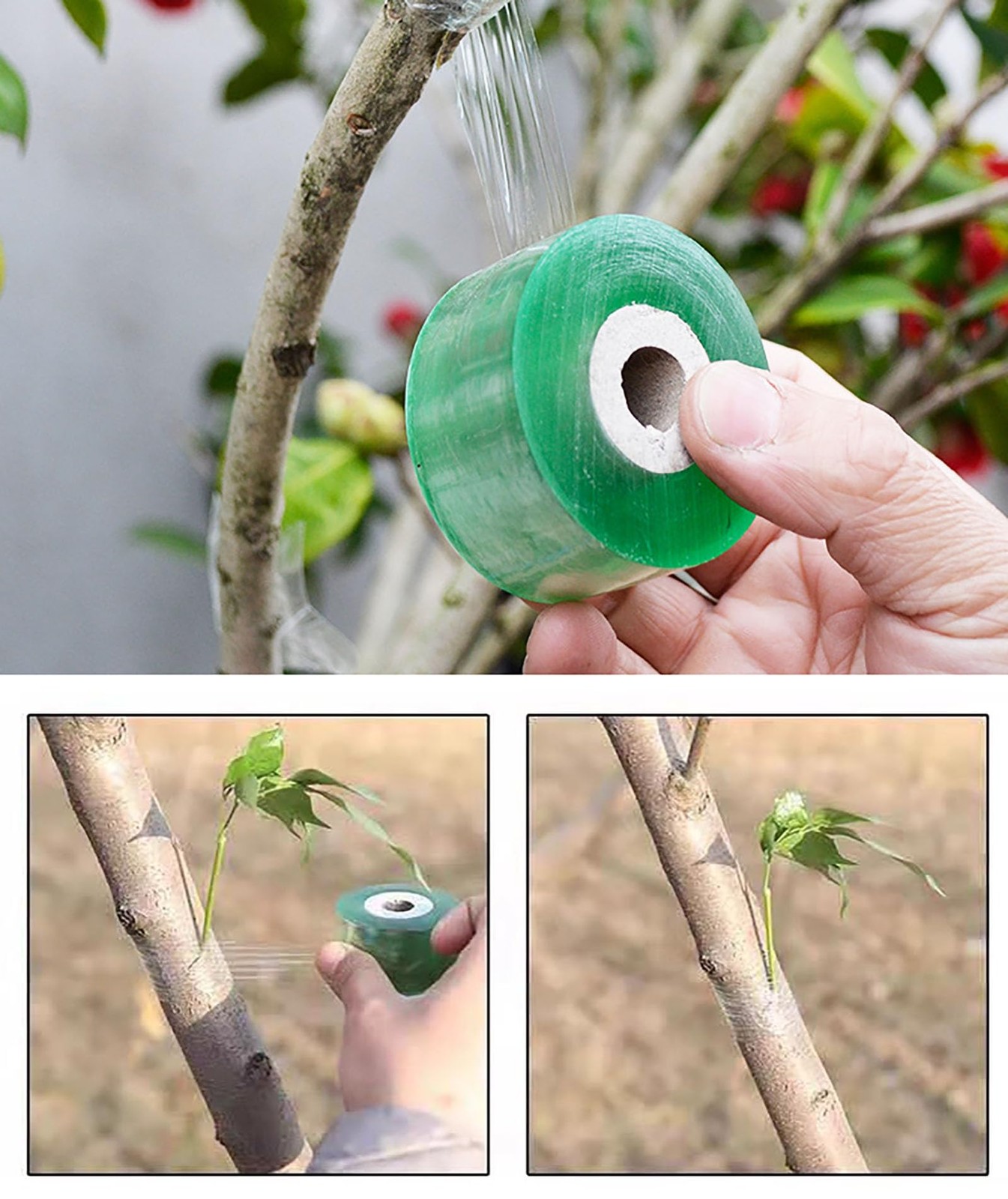 1.2inch Grafting Tape for Floral Fruit Trees Stretchable Garden Grafting Tape…
