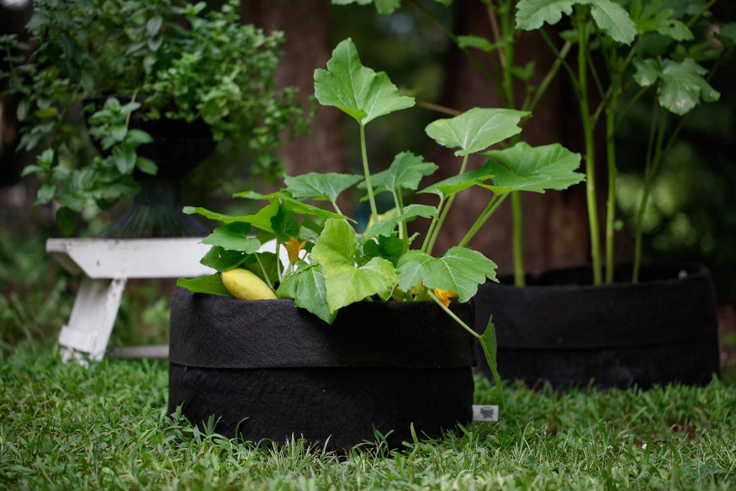 Smart Pot Fabric Planters – Breathable Heavy Duty Grow Bags for Vegetables,