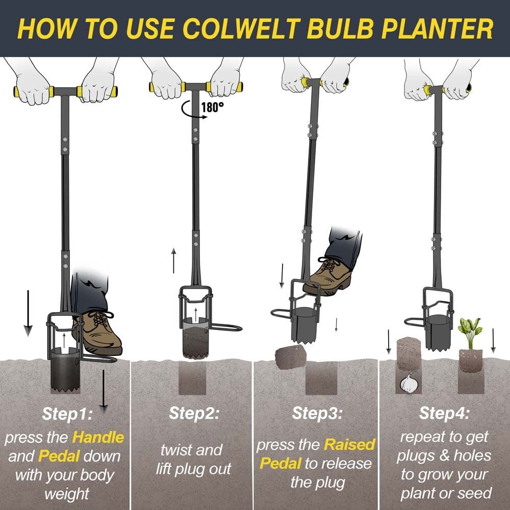 Colwelt Bulb Planter Tool Long Handle Serrated Base Gardening Bulb Transplant…