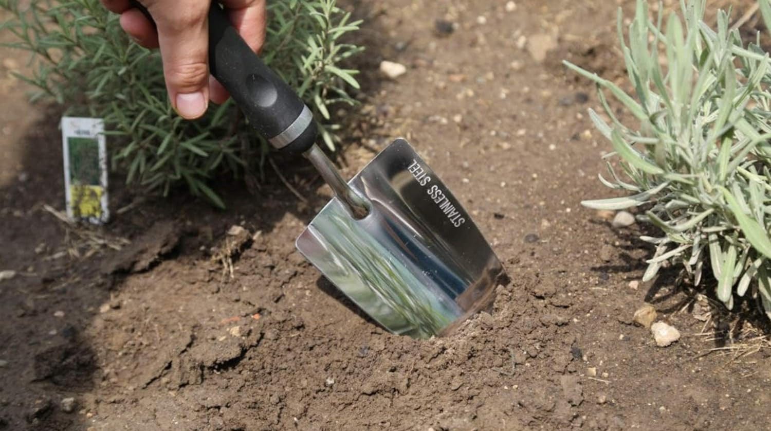 Edward Tools Bend-Proof Garden Trowel – Heavy Duty Polished Stainless Steel – –