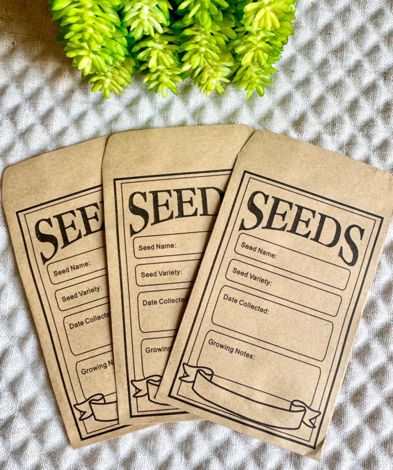 New Summer Gardening Gift Set w/ Metal Hand Rake, Seed Envelopes, Purple Gloves