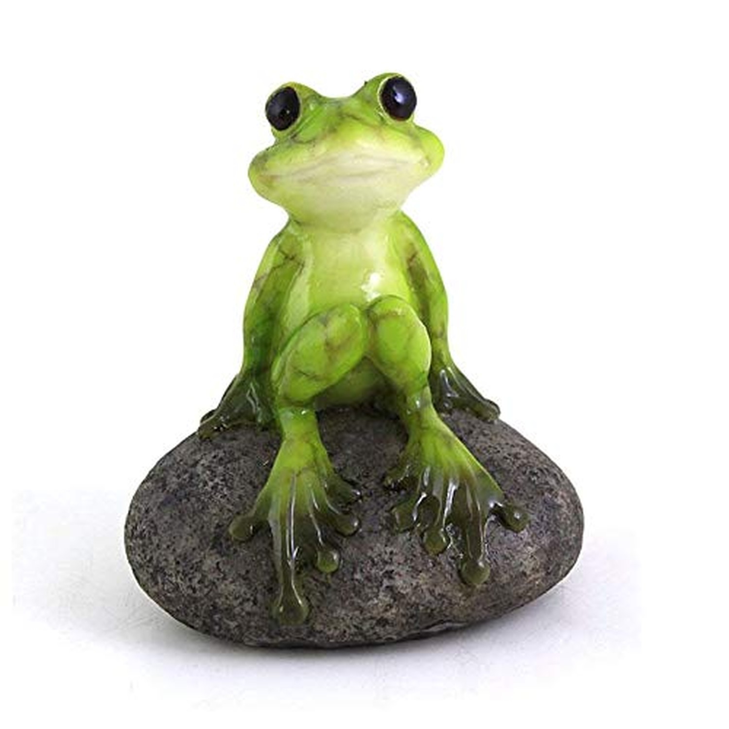 Top Collection 2.725-Inch Miniature Fairy Garden and Terrarium Cute Frog on S…